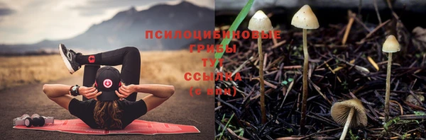 экстази Ростов