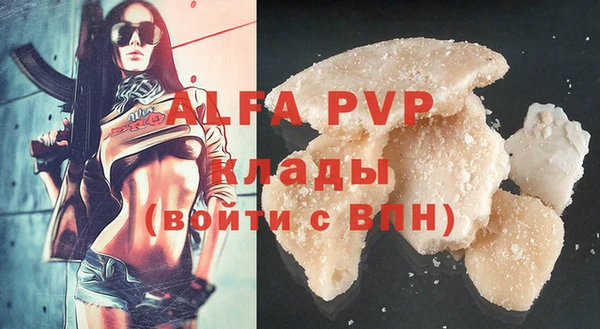 эйфоретик Покачи