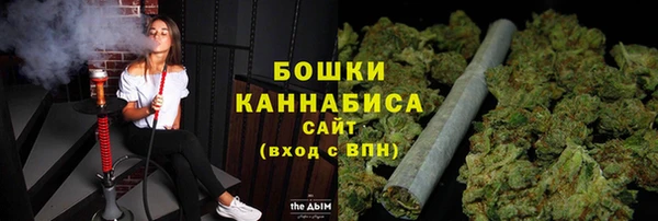 ECSTASY Грязи