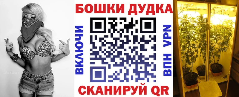 Бошки Шишки конопля  Полярный 
